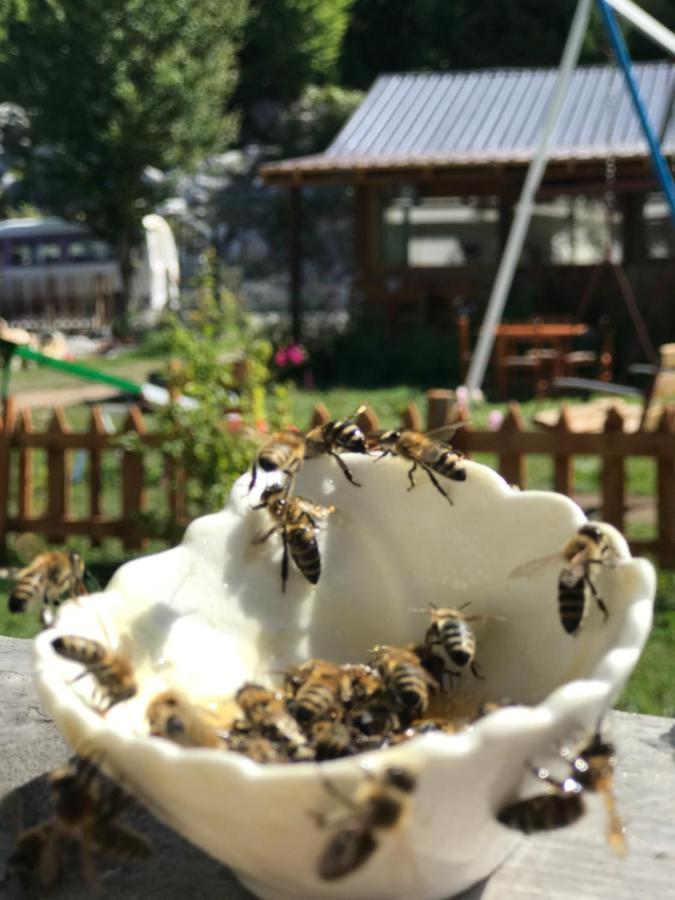 Hotel Bujtina Izet Selimaj Valbona Esterno foto